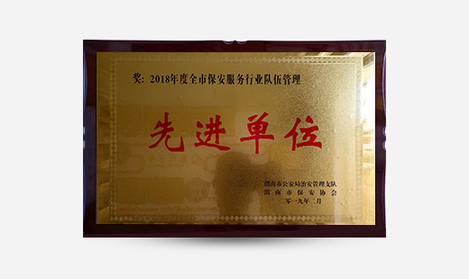 2018年度全市保安服務(wù)行業(yè)隊伍管理先進單位